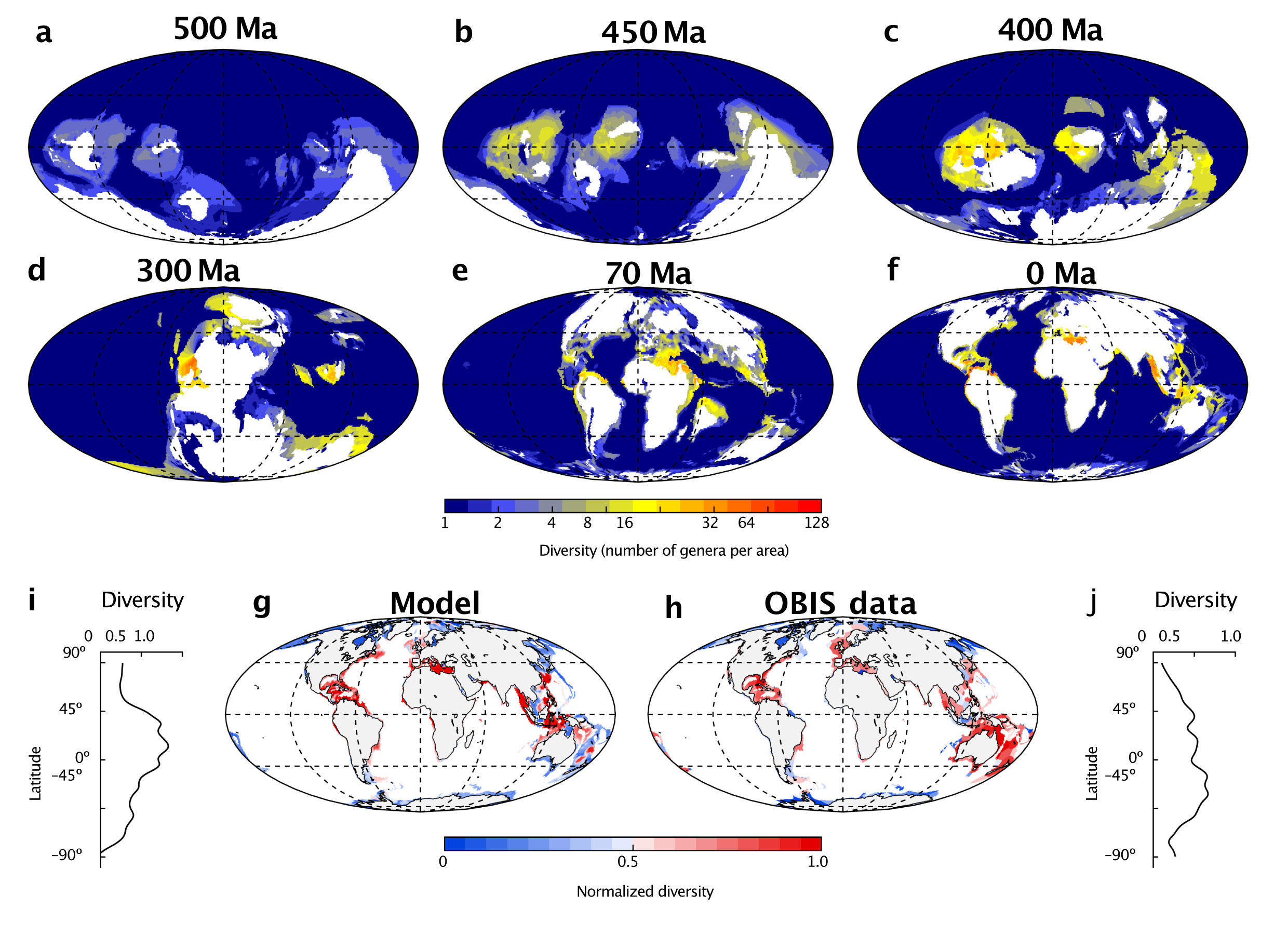 Reconstructing ocean biodiversity hotspots of the Phanerozoic