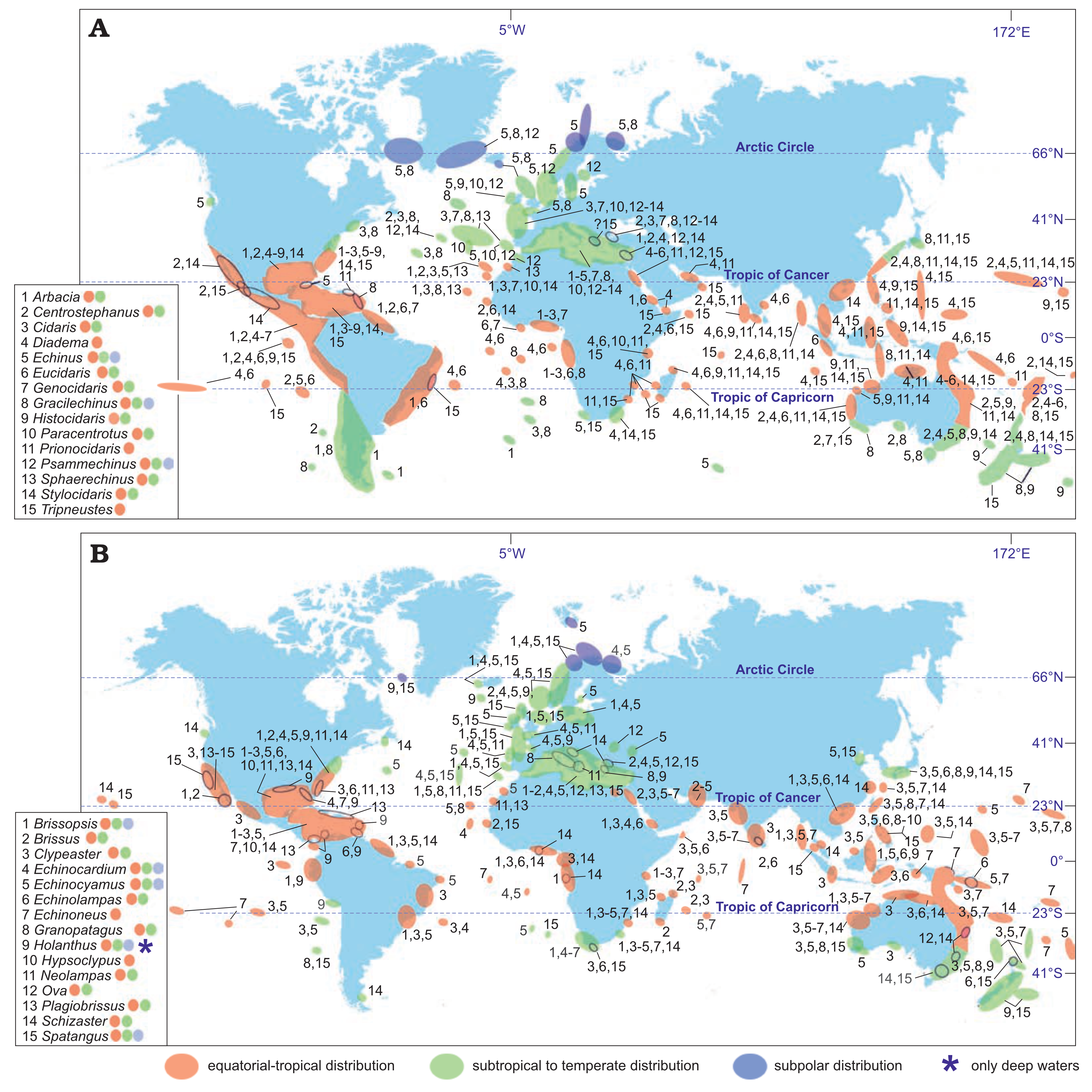Climate-driven diversity changes of Mediterranean echinoids over the last 6 Ma