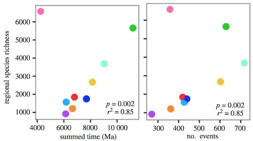 High species richness in the Central Indo-Pacific explained by time and many colonization events