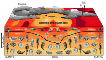 The great dying at the end of the Permian linked to ocean warming and oxygen loss