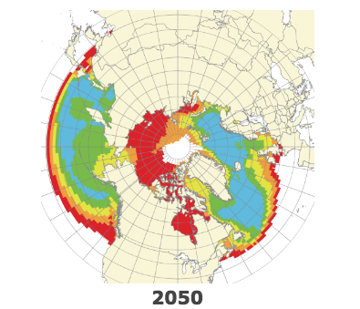 Pteropods at risk