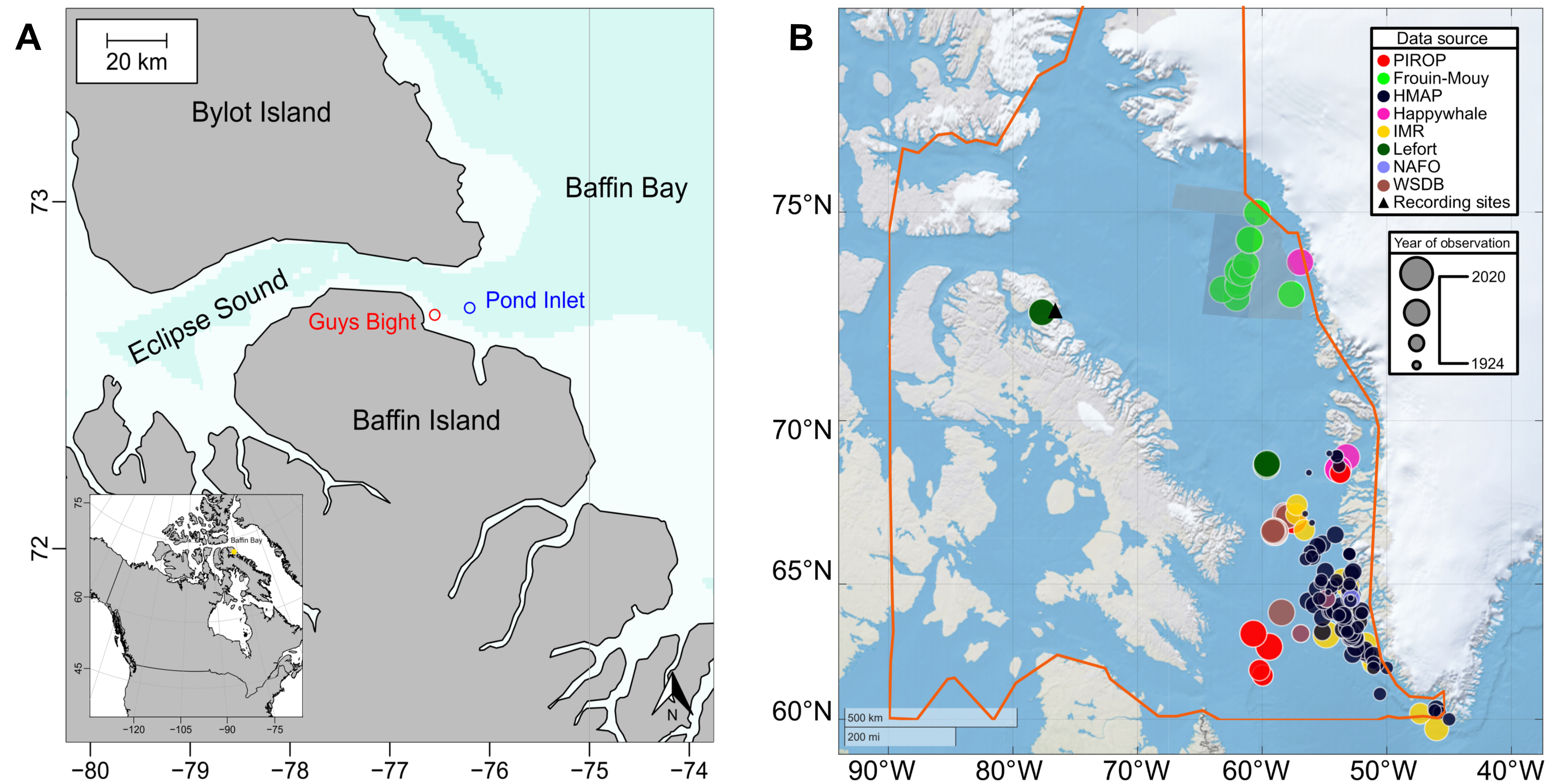Detecting sperm whales in the eastern Canadian Arctic as sea-ice continues to melt